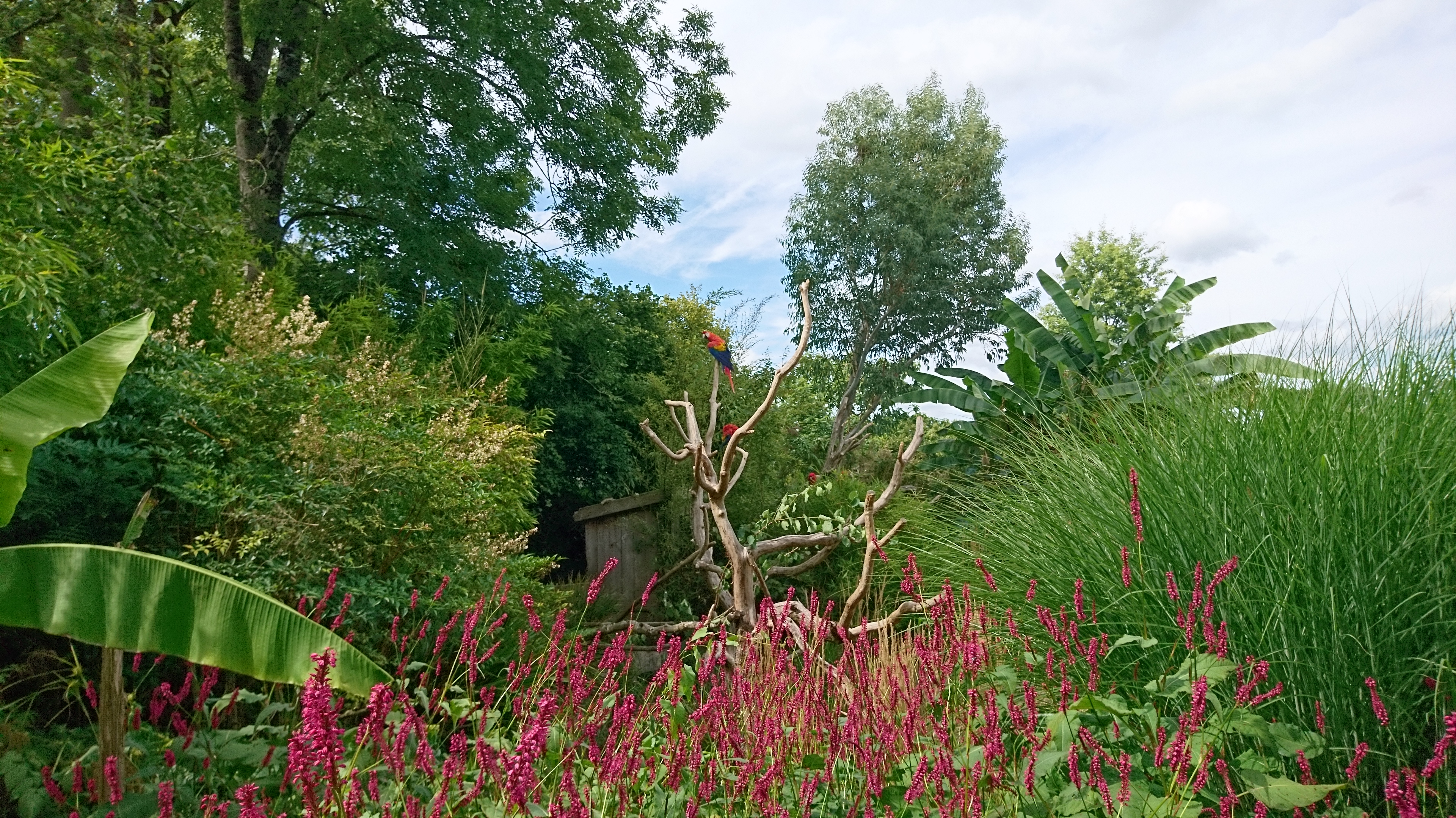 Photo n° 2 de l'avis de Philippe.e fait le 07/08/2017 à 14:04