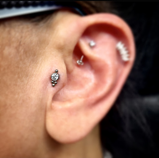 Find wolf tattoo ideas for your next unique tattoo in Bay Shore at Piercings By Dean 95