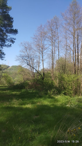 Magurič Otváracie hodiny