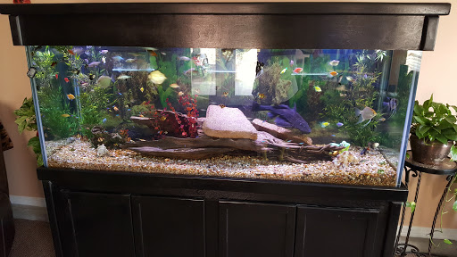 Aquarium «Crystal Reef Aquariums», reviews and photos, 311 Pass Rd, Gulfport, MS 39507, USA