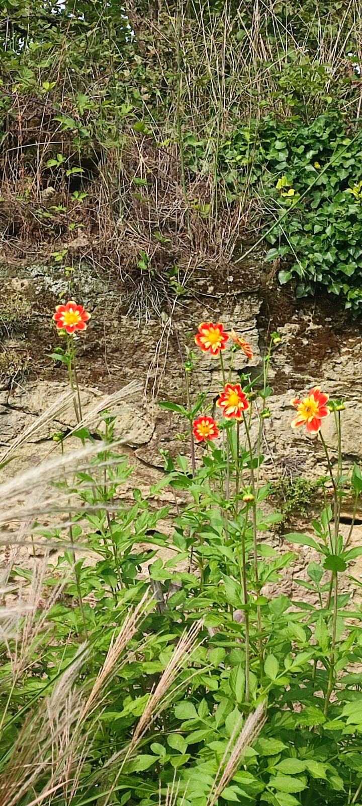 Photo n° 2 de l'avis de Maryline.a fait le 29/08/2023 à 19:52