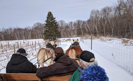Winery «Dancing Dragonfly Winery», reviews and photos, 2013 120th Ave, St Croix Falls, WI 54024, USA