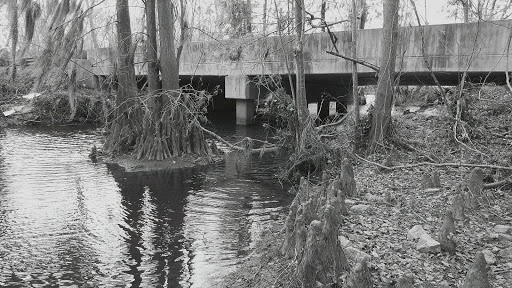 Country Club «The Palms Course», reviews and photos, 3700 W Lake Dr, Florence, SC 29501, USA