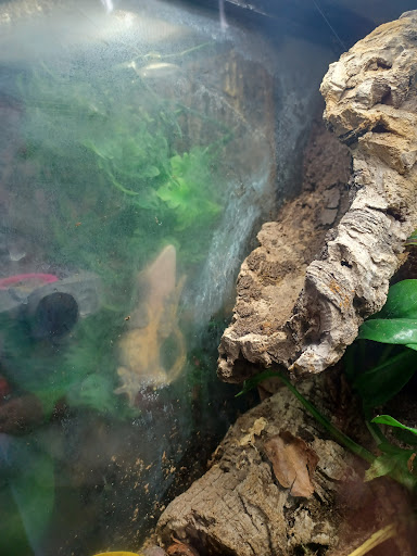 Pet Store «The Pet Works», reviews and photos, 1257 Commerce Ave, Longview, WA 98632, USA