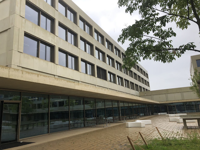 Rezensionen über Sekundarschule Sandgruben in Basel - Schule