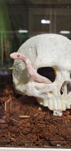 Pet Supply Store «PetSmart», reviews and photos, 777 S Willow St, Manchester, NH 03103, USA