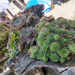 Photo n°1 de l'avis de Simone.u fait le 21/08/2020 à 17:44 sur le  Jausenstation Dursterhof à Partschins