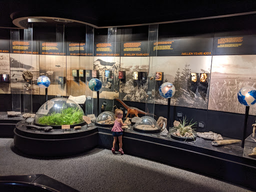 Museum Tucson