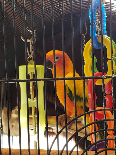 Pet Store «Pet Advantage», reviews and photos, 350 Dorset St # 1, South Burlington, VT 05403, USA