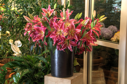 Florist «Allan Woods Flowers», reviews and photos, 2645 Connecticut Ave NW, Washington, DC 20008, USA