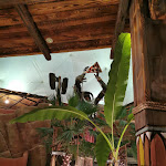 Photo n°3 de l'avis de Antonino.a fait le 10/10/2021 à 19:55 sur le  Safari Giro Pizza à Lazise