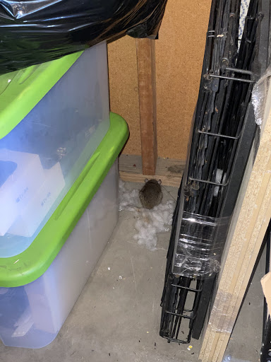 Self-Storage Facility «StorAmerica Self Storage», reviews and photos, 5630 Peck Rd, Arcadia, CA 91006, USA