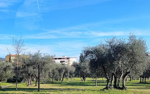 Parco dell 'Oliveta image