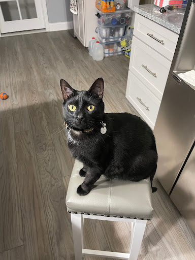 812 Cherry St E, Canal Fulton, OH 44614, USA