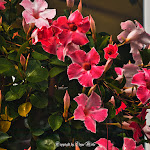 Photo n°12 de l'avis de Edgar.o fait le 05/08/2023 à 12:03 sur le  Restaurant Bullmühle à Visbek