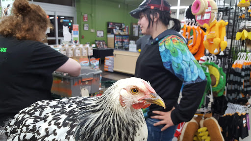 Pet Supply Store «Pet Supplies Plus», reviews and photos, 5230 S Westnedge Ave, Portage, MI 49002, USA