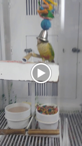 Pet Supply Store «Petco Animal Supplies», reviews and photos, 6418 S Staples St b, Corpus Christi, TX 78413, USA