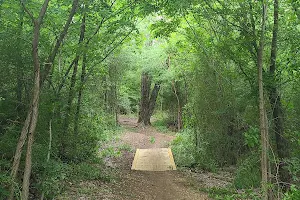 Cedar Hill State Park Dorba Trail image
