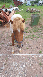 Photo n°2 de Catusse Pierre à Mouret ()