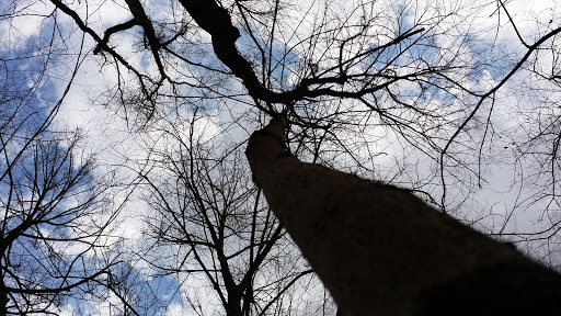 Nature Preserve «Oakhurst Forest Preserve», reviews and photos, 1680 5th Ave, Aurora, IL 60504, USA