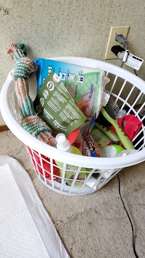 Petsense - photo 15