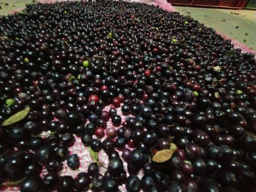 La huerta sonsoneña