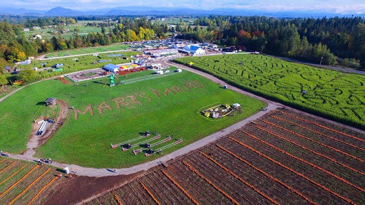 Amusement Center «Maris Farms», reviews and photos, 25001 Sumner Buckley Hwy, Buckley, WA 98321, USA