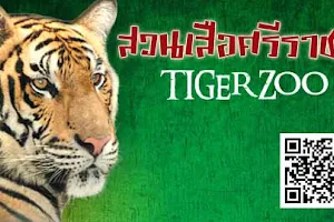 Sriracha Tiger Zoo image