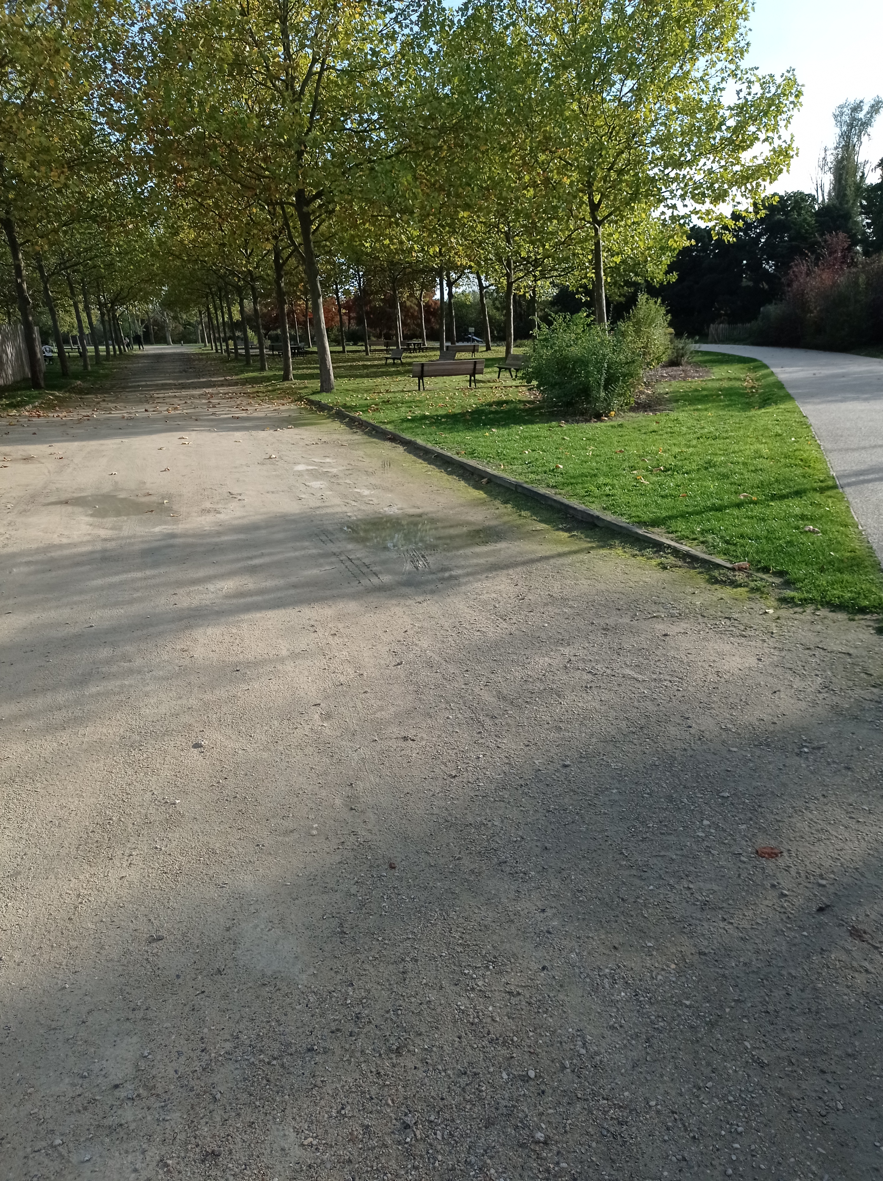 Photo n° 4 de l'avis de corp.o fait le 20/10/2022 à 21:59