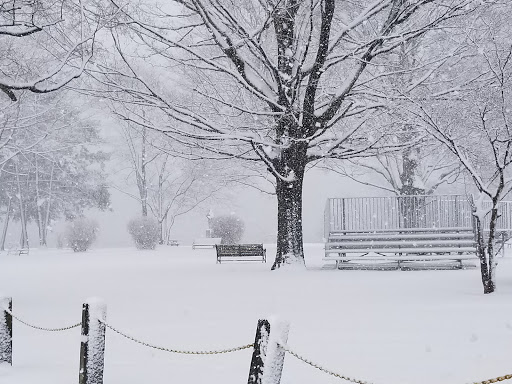 Park «Governor Printz Park», reviews and photos, Taylor Ave & W 2nd St, Essington, PA 19029, USA