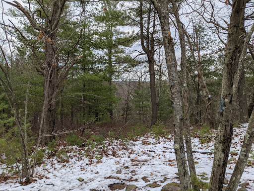 State Park «Wilson Mountain Reservation», reviews and photos, 384 Common St, Dedham, MA 02026, USA