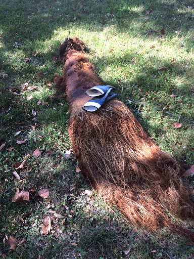 Septic System Service «Downs Drain Cleaning And Septic System Service», reviews and photos, 4329 State Rd, Peninsula, OH 44264, USA