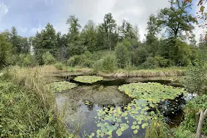 Naturschutzgebiet Herzogenmatt image