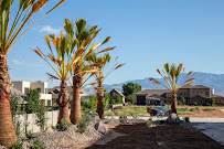 Precision Landscape & Maintenance LLC - Photo 7 - Car repair in St. George, UT, St. George