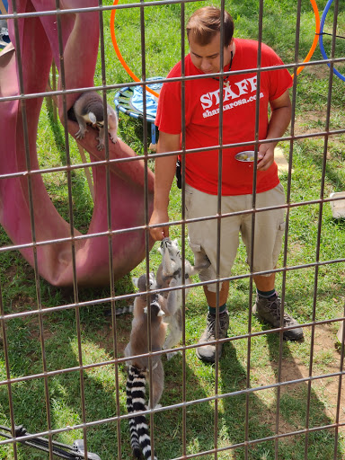 Ranch «Sharkarosa Wildlife Ranch», reviews and photos, 11670 Massey Rd, Pilot Point, TX 76258, USA