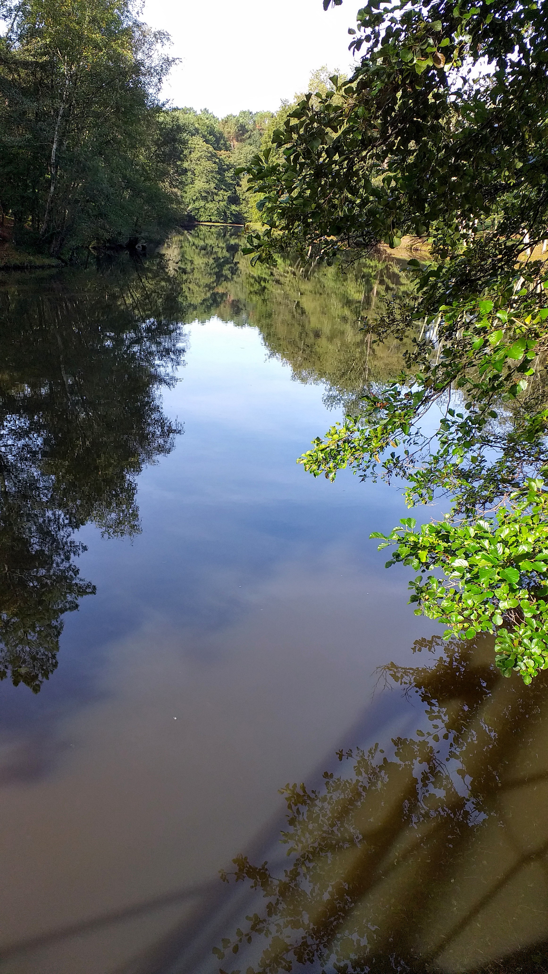 Photo n° 1 de l'avis de Jean-Pierre.i fait le 22/10/2021 à 12:59
