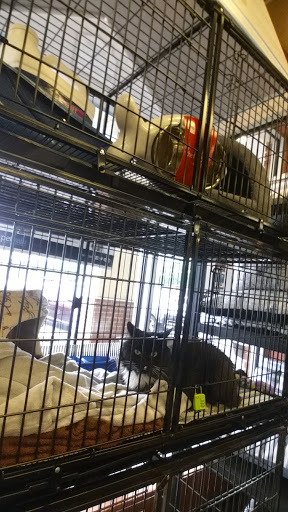 Pet Store «Pet Valu», reviews and photos, 378 Kelly Rd, Vernon, CT 06066, USA