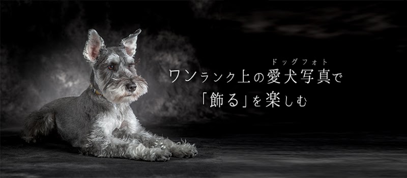 犬専門の写真館 YAKUSHI STUDIO for DOG