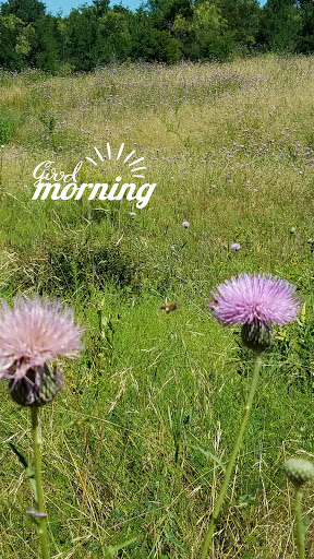 Park «Friendship Park», reviews and photos, 525 E Polo Rd, Grand Prairie, TX 75052, USA