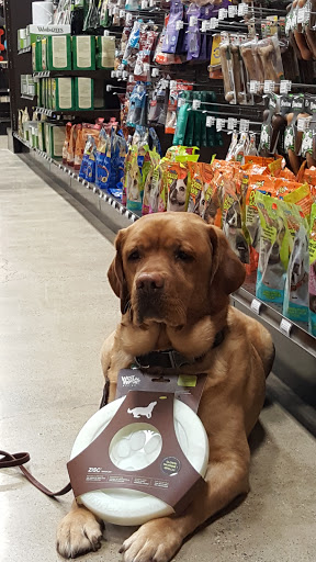 Pet Supply Store «Premier Pet Supply», reviews and photos, 15399 Merriman Rd, Livonia, MI 48154, USA