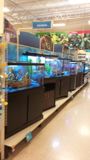 Pet Supply Store «PetSmart», reviews and photos, 5873 Spout Springs Rd, Flowery Branch, GA 30542, USA