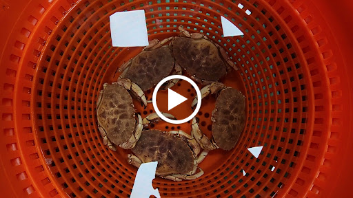 Seafood Market «Cherry Street Fish Market», reviews and photos, 26 Hobart St, Danvers, MA 01923, USA