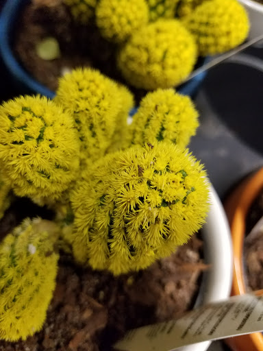 Home Improvement Store «The Home Depot», reviews and photos, 41 Nashua Rd, Londonderry, NH 03053, USA