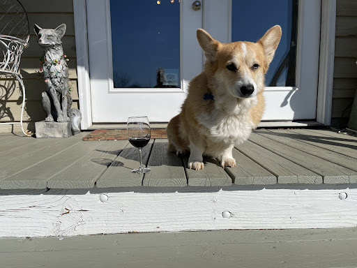 Reynard Florence Vineyard