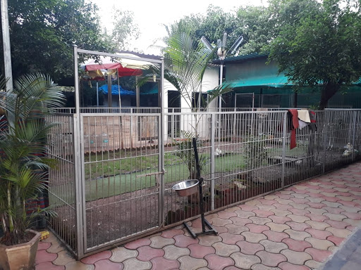 Zinu's Kennel