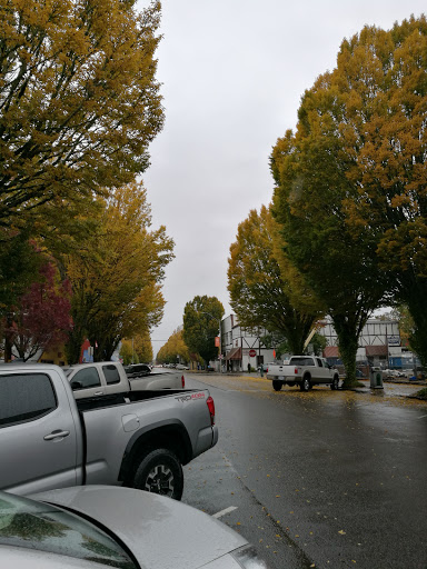 Toy Store «The Toy Factory», reviews and photos, 442 SW 2nd St, Corvallis, OR 97333, USA