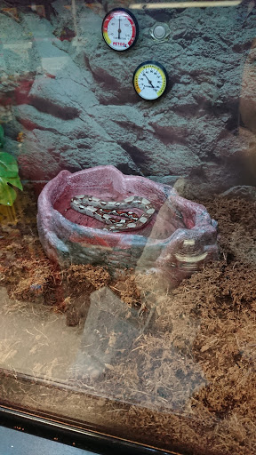 Pet Supply Store «Petco Animal Supplies», reviews and photos, 3012 Bridgepointe Pkwy, San Mateo, CA 94404, USA