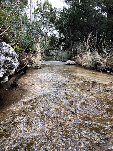 Park «Wild Basin Wilderness Preserve», reviews and photos, 805 N Capital of Texas Hwy, Austin, TX 78746, USA