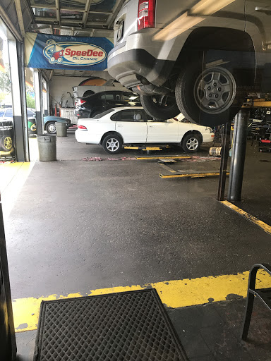 Car Repair and Maintenance «Midas», reviews and photos, 609 W Robertson St, Brandon, FL 33511, USA