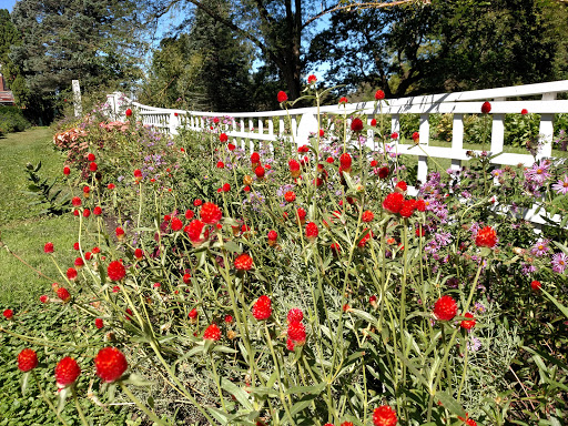 Museum «Brucemore», reviews and photos, 2160 Linden Dr SE, Cedar Rapids, IA 52403, USA